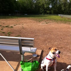 Dog Spot Dog Park