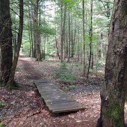 Hawkes Preserve