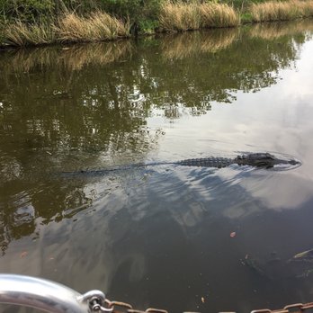 Airboat Adventures - Boat Tours Near Me - Lafitte, Louisiana