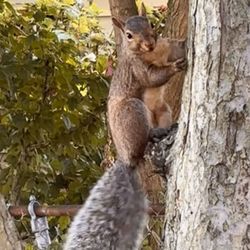 This little one was a bit scared of us but stopped climbing long enough for us to get a nice picture
