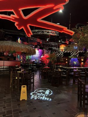 Cabo Wabo Cantina by null