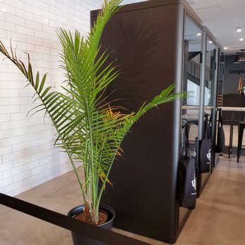 CLO Coffee - 3 separated booths and hallway to cmpnd - Coffee & Tea Near Me - Jersey City, New Jersey