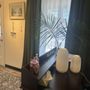 Photo of Lotus Wellness Massage Studio