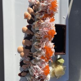 Royal Palm Grouper