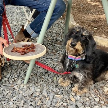 Persephone Bakery - This place is very dog friendly, with treats and water out for all pets. We ordered some bacon to treat our dog! - Bakeries Near Me - Jackson, Wyoming Persephone Bakery - This place is very dog friendly, with treats and water out for all pets. We ordered some bacon to treat our dog! - Bakeries Near Me - Jackson, Wyoming