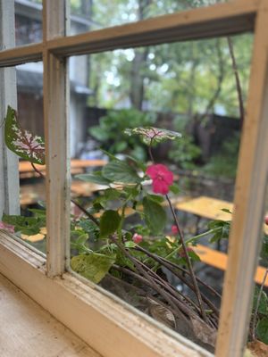 Kentucky Native Café by null Kentucky Native Café by null