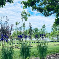 B & G Landscape Creations