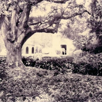 Bayou Tree Service - Tree Services Near Me - New Orleans, Louisiana Bayou Tree Service - Tree Services Near Me - New Orleans, Louisiana