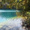 Green Lakes State Park gift card