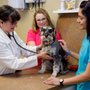 Country Friends Veterinary Clinic