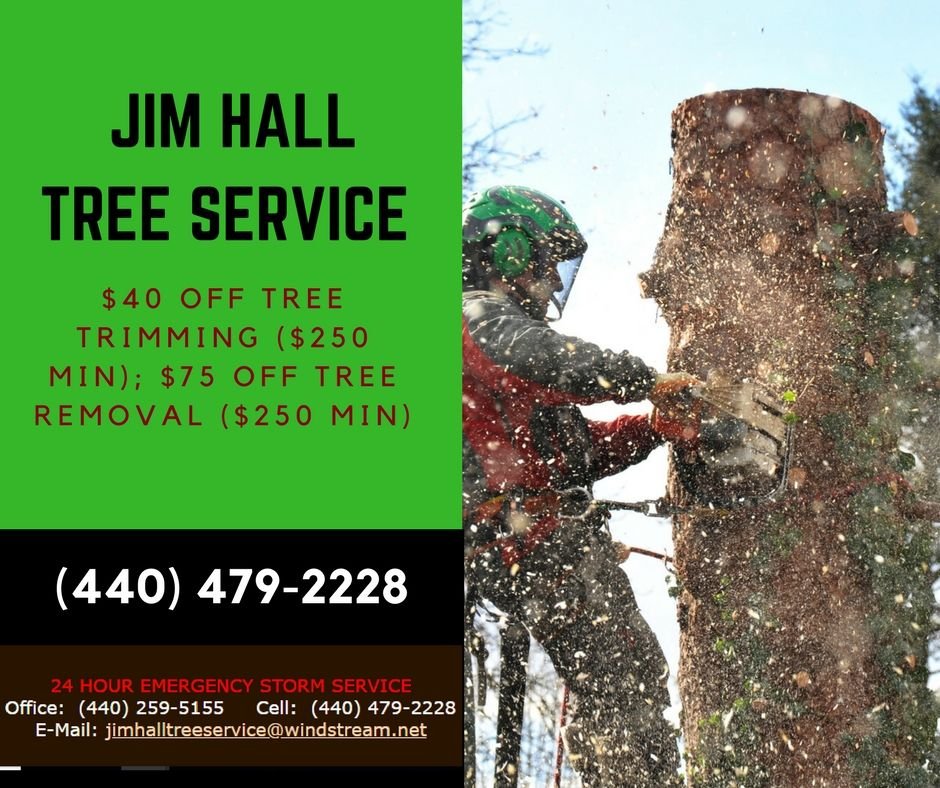 JIM HALL TREE SERVICE Updated August 2024 3500 Shepard Rd, Perry
