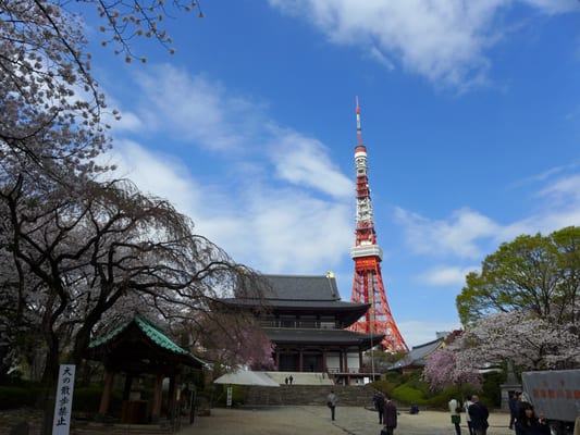 Zojo-ji Temple by null