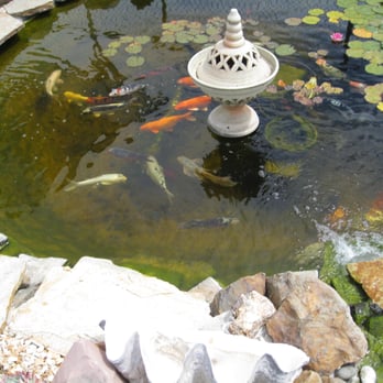 Poot's Cactus Nursery - Nurseries & Gardening Near Me - Ripon, California