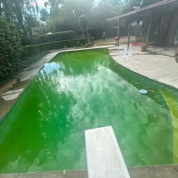 The Pool Guys - The results of unreliable service and inconsistency . 2 month after first visit - Pool Cleaners Near Me - Modesto, California