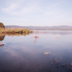 Lake Davis Recreation Area - marshes