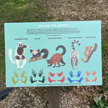 Duke University Lemur Center - Zoos Near Me - Durham, North Carolina