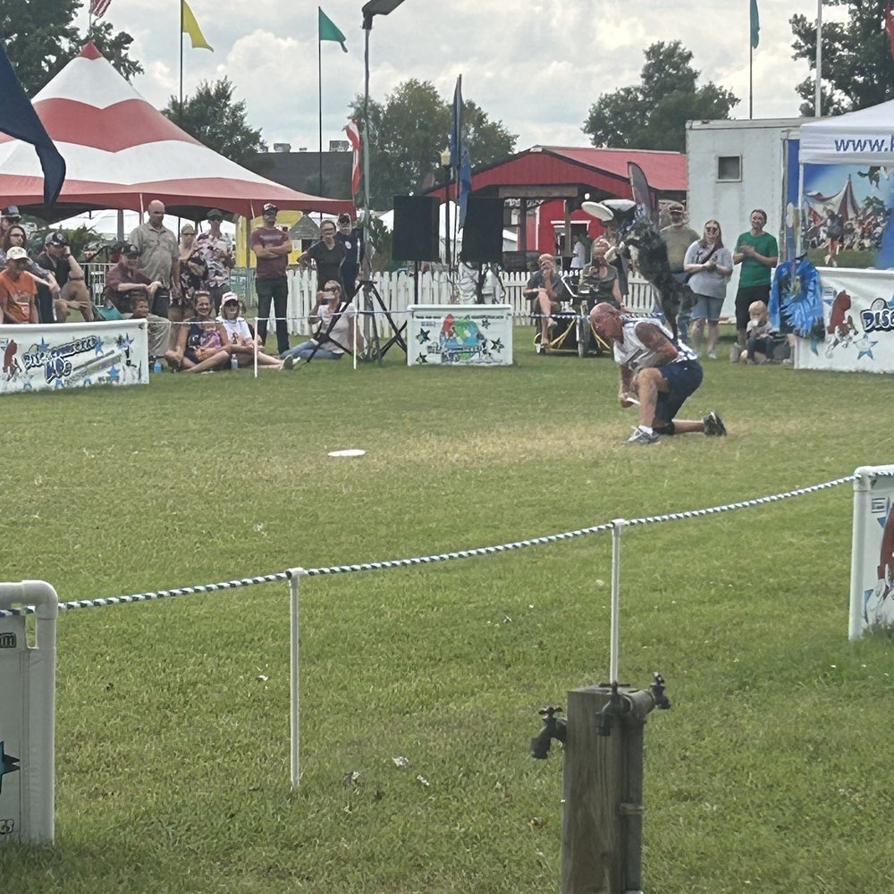 Duquoin State Fair - Dog show - Music Venues Near Me - Duquoin, Illinois