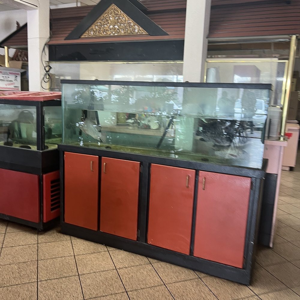 Best Hong Kong Dining - Chinese Near Me - Mesa, Arizona