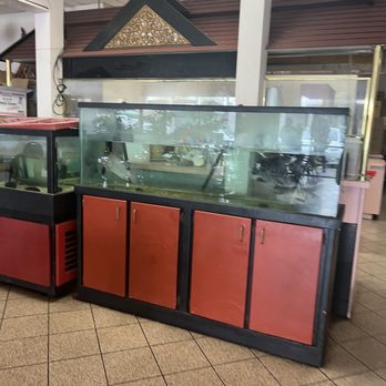 Best Hong Kong Dining - Chinese Near Me - Mesa, Arizona Best Hong Kong Dining - Chinese Near Me - Mesa, Arizona