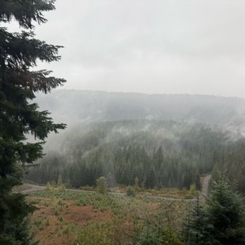 Diamond Creek Falls - Hiking Near Me