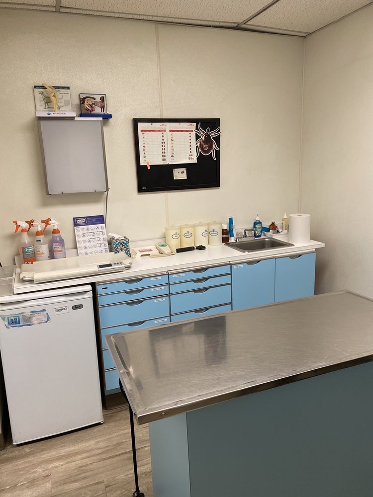 PETCARE ANIMAL CLINIC 24 Photos & 158 Reviews 4373 156th St, Flushing, New York