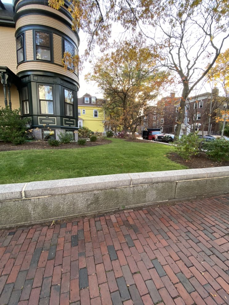 PRO CUT LANDSCAPE & DESIGN Updated May 2024 11 Photos Watertown, Massachusetts