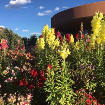 Sedona Golf Resort - Nice flowers - Golf Near Me - Sedona, Arizona
