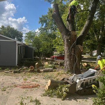 Jakes Trees - Tree Services Near Me - Flushing Township, Michigan