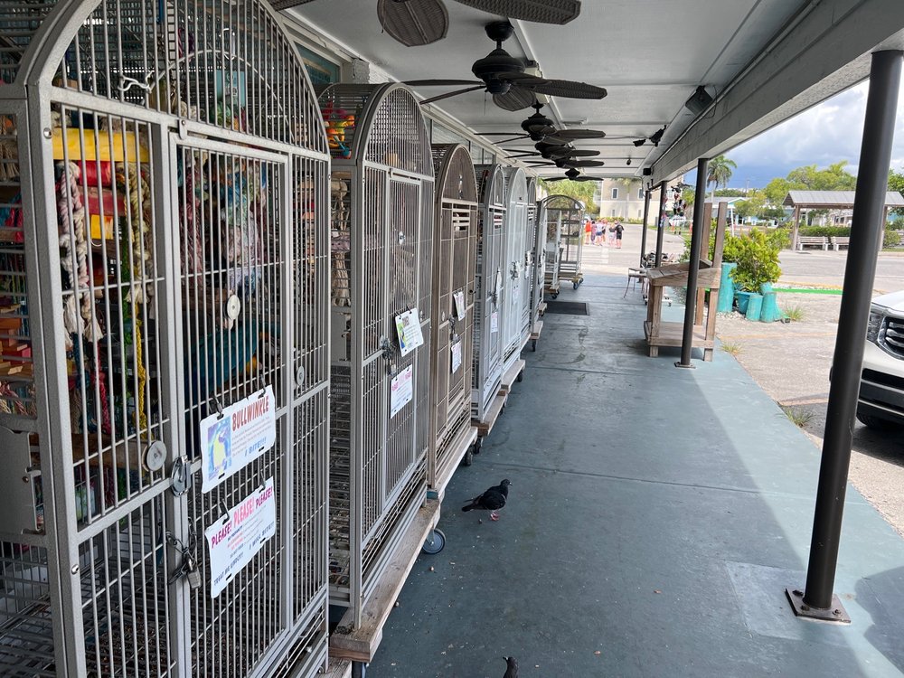Sun and Surf Beach Shop Image