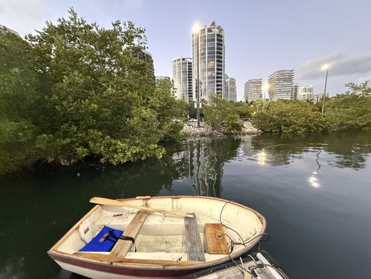 Coconut Grove by null