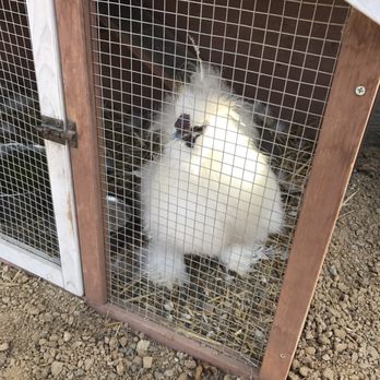 Ostrichland USA - Attraction Farms Near Me - Solvang, California Ostrichland USA - Attraction Farms Near Me - Solvang, California