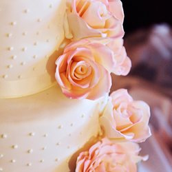 Best Cake Makers Near Me February 2020 Find Nearby Cake Makers