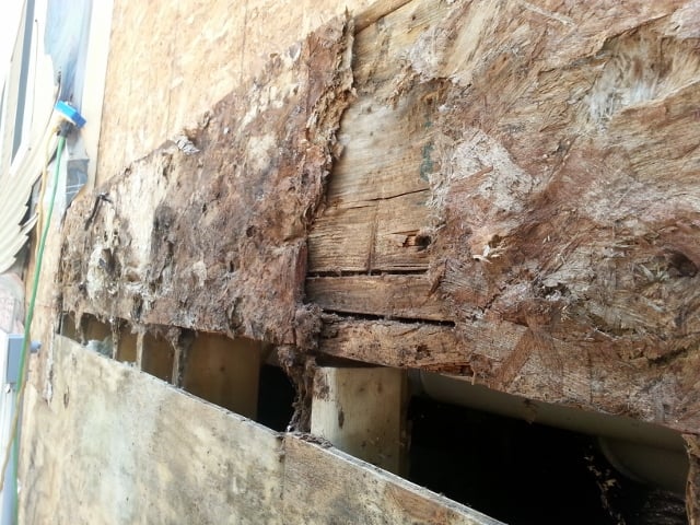 Renovation Consultants - septic in Alfred, ME