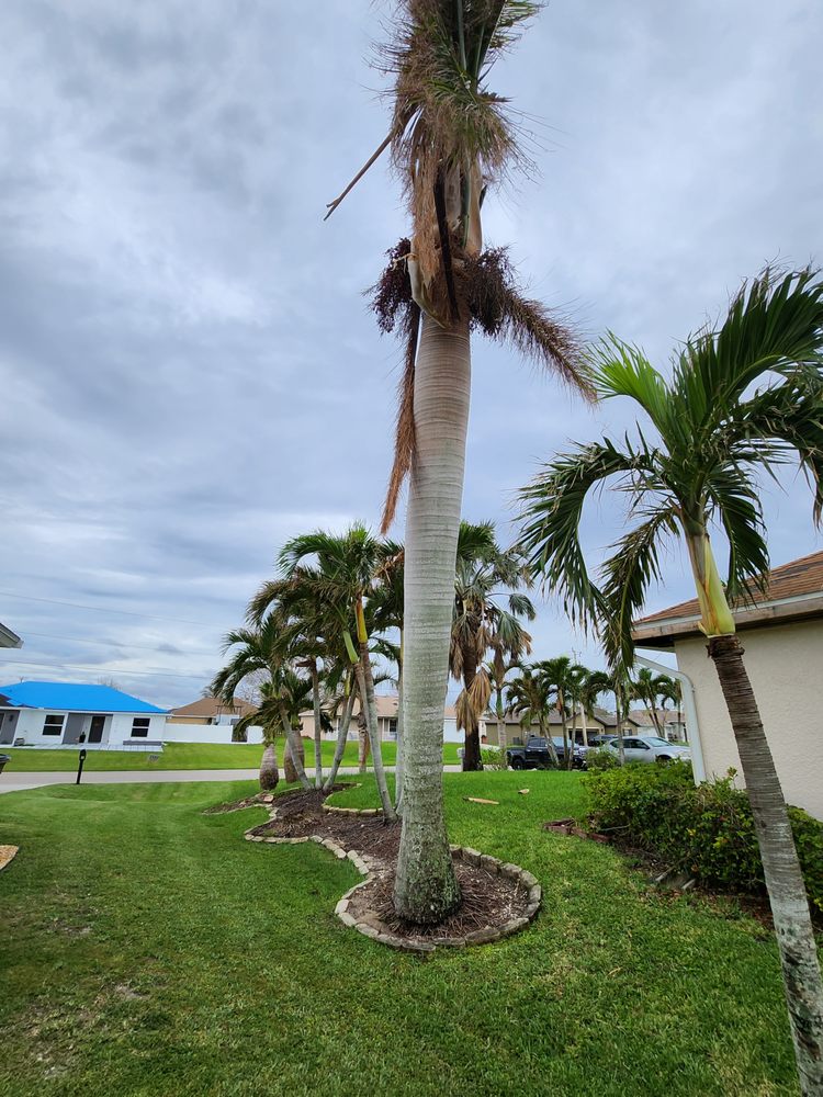 Slide of Greenbelt by Chdo