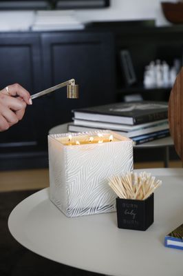 TAJA Collection by null