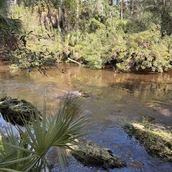 Lithia Springs Park - Parks Near Me - Lithia, Florida Lithia Springs Park - Parks Near Me - Lithia, Florida