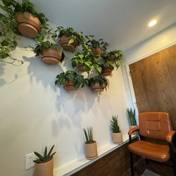 Holistic Health Associates