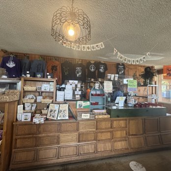 The Green Salmon - Inside - Coffee & Tea Near Me - Yachats, Oregon The Green Salmon - Inside - Coffee & Tea Near Me - Yachats, Oregon