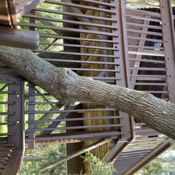 Baytowne Tree House - Public Art Near Me - Miramar Beach, Florida