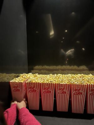 Motion Picture Association of America