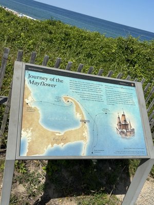 Coast Guard Beach by null