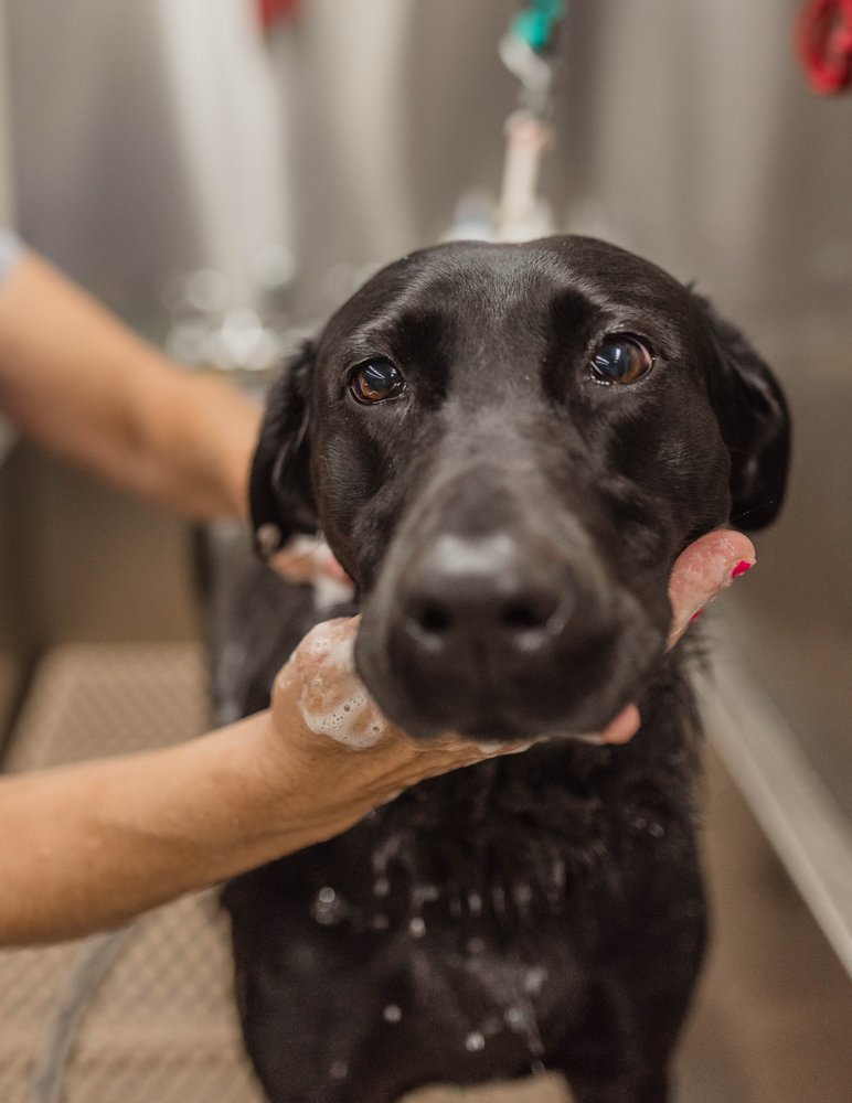 Hicks Animal Clinic Image