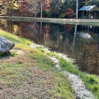 Cooper Creek Trout Farm - Lakes Near Me - Bryson City, North Carolina
