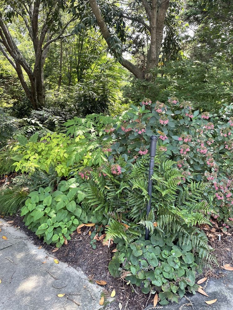 PLANT DELIGHTS NURSERY 11 Photos & 24 Reviews 9241 Sauls Rd