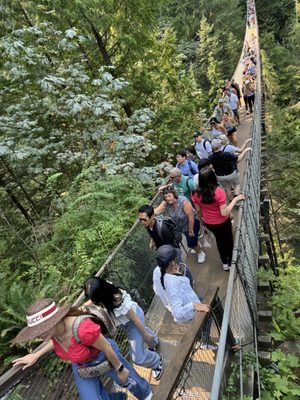 Capilano Suspension Bridge Park by null