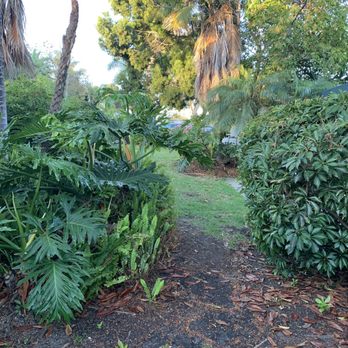 Paradise Point - What could be a walking path but is an over grown jungle. - Resorts Near Me - San Diego, California Paradise Point - What could be a walking path but is an over grown jungle. - Resorts Near Me - San Diego, California