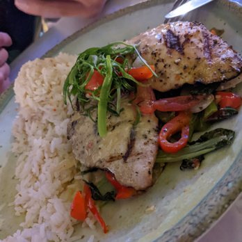 The Beach Bar - Mahi Mahi - Bars Near Me - Honolulu, Hawaii