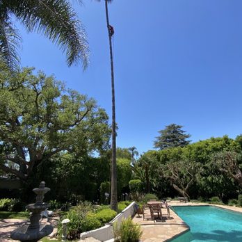 United West Coast - Tree trimming - Tree Services Near Me United West Coast - Tree trimming - Tree Services Near Me
