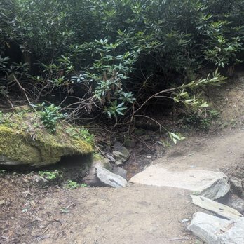 Crab Orchard Falls Trail - Hiking Near Me - Banner Elk, North Carolina