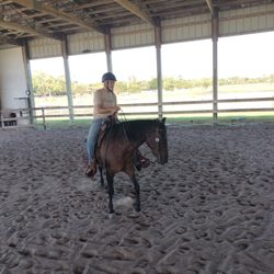 Sunny Times Stables